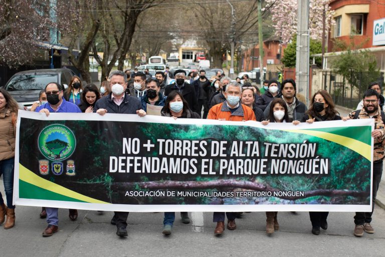 Alcaldes del Gran Concepción marcharon hasta el SEA