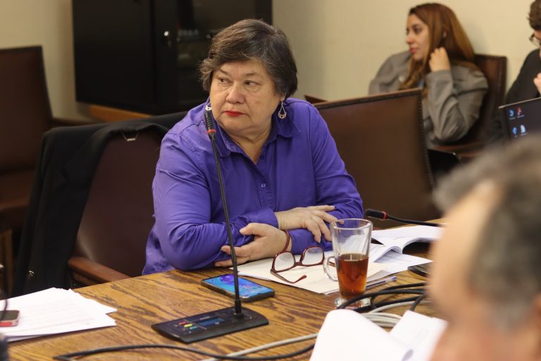 Diputada Acevedo pide compensaciones económicas a CGE y Frontel