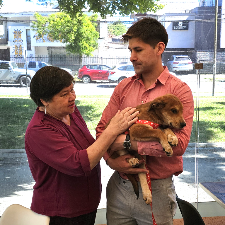 Presentan proyecto que crea el Registro Nacional de Maltratadores de Animales